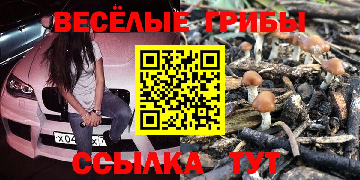 Галлюциногенные грибы мицелий  Вход с VPN  Жуковский 